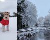 Nelle immagini: le migliori fotografie degli spettatori mentre la neve colpisce le Midlands