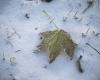 Mercoledì è prevista la prima neve in pianura