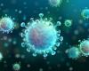 Coronavirus (COVID-19): sintomi, cause, cure, trasmissione