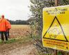 Caccia e cattura del cinghiale: nel Finistère, misure per una maggiore regolamentazione