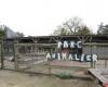 Polli, conigli… La scuola Curie ridurrà il numero di animali accolti nel suo parco della Mayenne