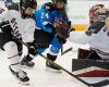 A febbraio si terrà a Edmonton una partita di hockey femminile professionistica