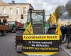 Terzo giorno di manifestazione agricola, con lo sfondo delle elezioni alla Camera dell'Agricoltura