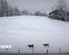 Sta arrivando la grande nevicata adesso? -Notizia