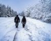 BOLLETTINO METEO. La neve sta arrivando, i primi fiocchi nella Lozère e nelle Cévennes