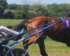 Cancellate le gare equestri in Francia