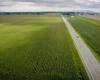 Saint-Hyacinthe autorizzato a sviluppare la strada di accesso