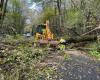 Alberi sulla strada nella limousine della Charente, 4160 case prive di elettricità, la tempesta Caetano non risparmia la Charente