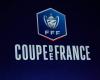 Coupe de France: quando il LOSC conoscerà il suo avversario ai 32esimi di finale?