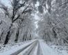 una rarissima giornata di neve a novembre