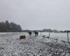 NEVE – Strade chiuse, limitazioni alla circolazione, trasporti: aggiornamento in tempo reale nell'Eure e nella Seine-Maritime