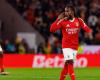 'Li buttano qui', stuzzica l'ex tecnico del Benfica al PSG sul prestito di Renato Sanches