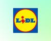 devi andare alla Lidl