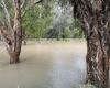 Lo stato del Queensland colpito da piogge torrenziali