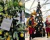 Un mercatino di Natale è (finalmente) allestito al Polygone de Montpellier!