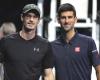 ATP > Andy Murray nuovo allenatore di Novak Djokovic, improbabile ma vero!