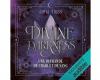 Divine Darkness volume 1 un romanticismo al top!