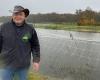 un esperimento di allevamento di gamberetti d'acqua dolce a Brenne