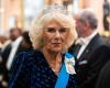 Camilla Parker Bowles: questo hobby che parlerà a molte persone la rende molto competitiva