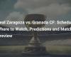 Real Saragozza vs. Granada CF: programma, trasmissione, pronostici e pre-partita