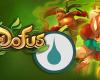 Guida ai migliori prodotti del Sàcrido dell'Acqua su Dofus Unity