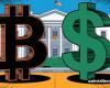 Trump tra dollaro e bitcoin