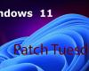 Patch Tuesday, decrittazione dell’aggiornamento di Windows 11 KB5048685