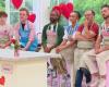 Il miglior pasticcere: chi è stato eliminato dalla competizione questo giovedì 12 dicembre? (ZAPTV)