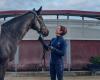 Piaffe senza tradire il tuo cavallo? Al CHI, Antonella Joannou vuole dimostrare che “il dressage si può fare con rispetto”