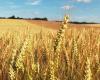 No al ritiro anticipato del flufenacet in Francia