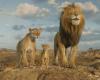 Mufasa – Il Re Leone “squittisce ma non ruggisce”. In sala per le feste lo sbiadito prequel del franchise Disney