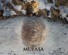 QUESTIONI DI CINEMA Le origini di Mufasa – Il Golfo 24