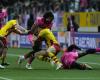 Top 14: dominata dallo Stade Français, l'USAP non riesce ancora a farcela