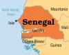 Senegal: per un milione di franchi CFA a tonnellata il Paese produce oltre 22.000 tonnellate di…