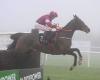 Leopardstown (Gr.1): Croke Park irresistibile come sempre