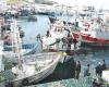 Porto di M'diq: diminuzione degli sbarchi di pesca alla fine di novembre