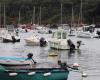 Il corpo di un uomo recuperato in un porto del Finistère