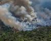 L’Amazzonia brasiliana sta vivendo gli incendi più numerosi degli ultimi 17 anni: cosa significa?