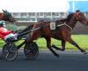 Prix ​​​​de Coucy-Le-Château 2025 a Vincennes: Lady Dada, ricevuto 3/3