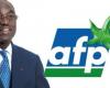 Razionalizzazione dei partiti: l’AFP fornisce soluzioni