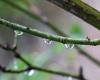 Bollettino meteorologico. Che tempo fa in Alta Francia per questa domenica 5 gennaio 2025?