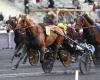 Jack Tonic vince il Quinté Prix de Lille a Vincennes