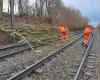 passeggeri di un treno TER bloccati sui binari a causa della caduta di un albero nella Somme