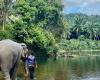 Turista spagnola di 22 anni muore dopo essere stata attaccata da un elefante che stava lavando in Thailandia