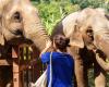 Turista spagnola di 22 anni muore mentre fa il bagno a un elefante