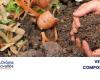 Vendita di composter Sede della Comunità dei Comuni della Val de Drôme a Biovallée Eurre mercoledì 8 gennaio 2025