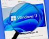 Windows 11 raggiunge un record di memoria ingombro con Tiny11