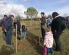 “Creatore di foreste” dà spazio all’Azuré du Serpolet