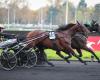 I tre favoriti per il Prix d’Amérique 2025 assenti al Prix de Belgique