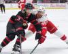 la partita Senators-Red Wings da guardare